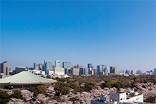 お花見カフェ