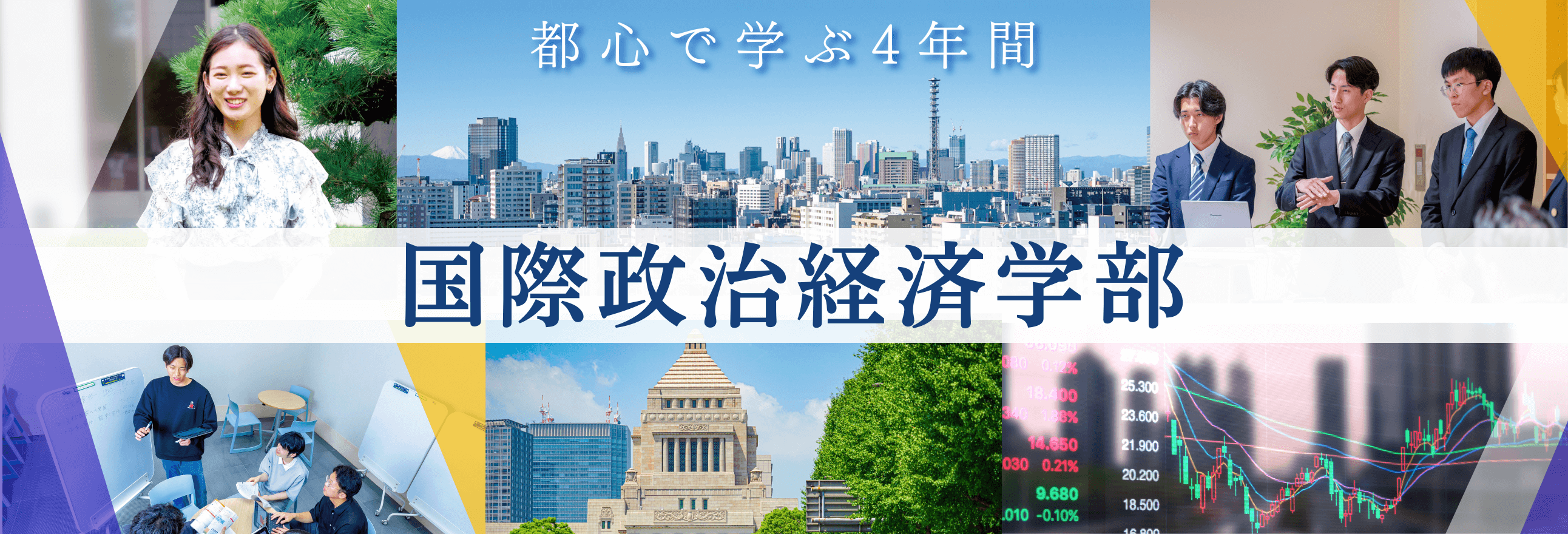 国際政治経済学部