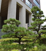 二松學舍(にしょうがくしゃ)校名の由来画像