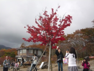 2012年度留学生交流会2