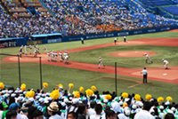 全国高校野球選手権東東京大会2