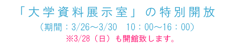 wW̓ʊJ